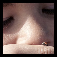 Tony meets a LadyBug